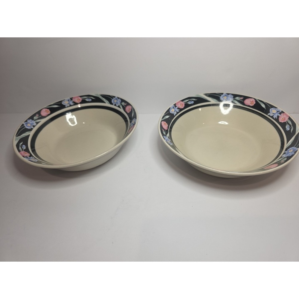2 Tienshan Stoneware Madrid Cereal Soup Bowl 6.5"  Replacements Pink Tulips Iris